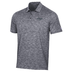 Micro Mesh Sport Polo- Gray